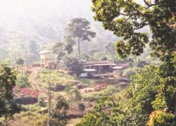 Mawsikar villagers foil Assam intrusion