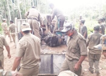 5 illegal timber mills seized in NGH