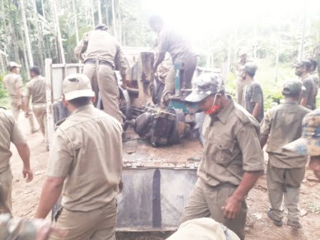 5 illegal timber mills seized in NGH