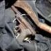 Villagers catch 3 armed dacoits