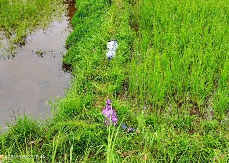 37-year old found dead in paddy field