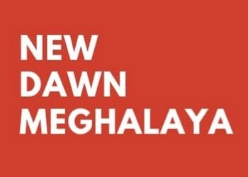 New Dawn launches website