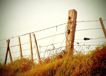 Assam PMAY houses, footpaths, college on Meghalaya land!