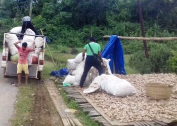 PM-Kisan money transferred to account of M’laya farmers