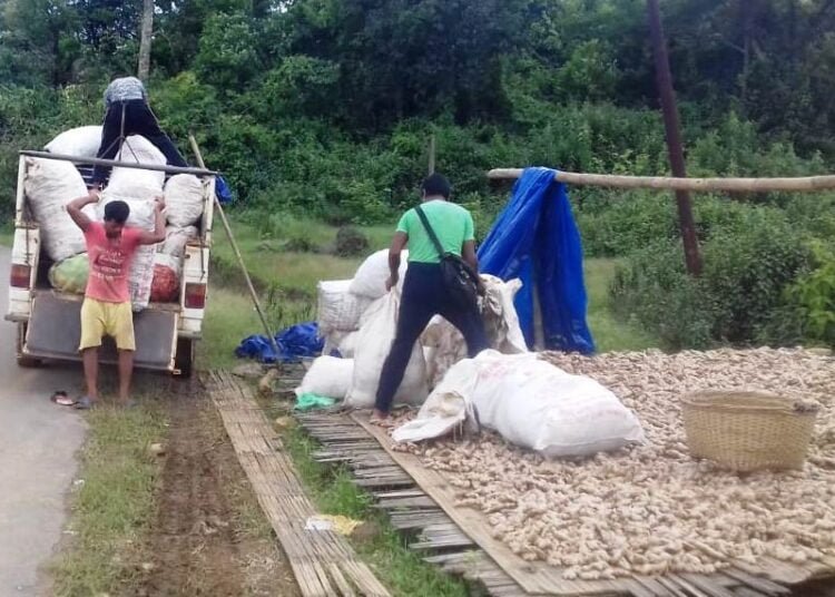 PM-Kisan money transferred to account of M’laya farmers