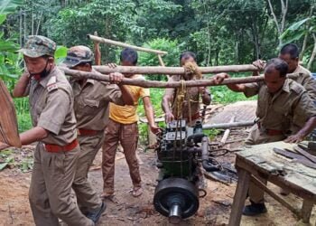 Another illegal saw mill busted near Tikrikilla