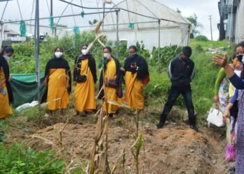 Mawkyrwat promotes nutrition through kitchen garden demonstration drive