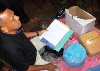 WGH police recover 6.7 tonnes of cannabis, 1 nabbed