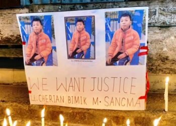 Social activist seeks concession in school fees for Cherian’s brothers