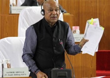 Beef again on the table of the Assembly