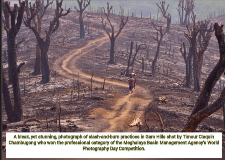 Bleak slash-and-burn photo from Garo Hills wins photo contest