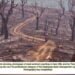 Bleak slash-and-burn photo from Garo Hills wins photo contest