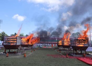 Assam consigns rhino horn hoard to flames to highlight they have no medicinal value