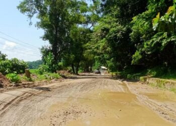 Four kilometres give drivers the jitters