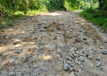 Dismal SWKH road goes 15 years without repairs