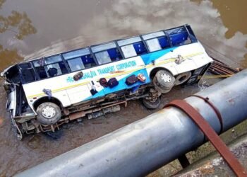 6 dead, over a dozen injured, 2 missing as bus plunges in river