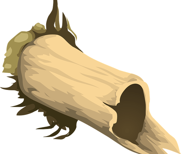 Student dies in freak accident