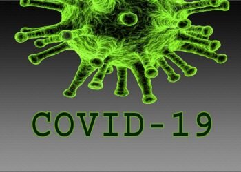 First day in 4 months without Covid fatalities