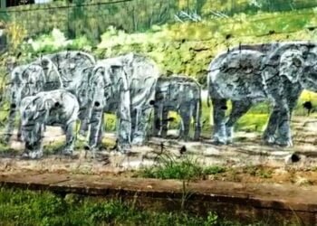 Nongkhyllem Wildlife Sanctuary gets mural, patrol camp