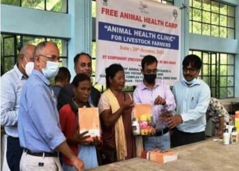 Free animal health camp held for livestock farmers