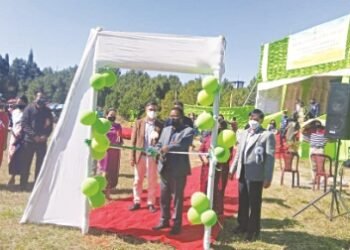 Presence of Self Help Groups boon to society and State: Brolding