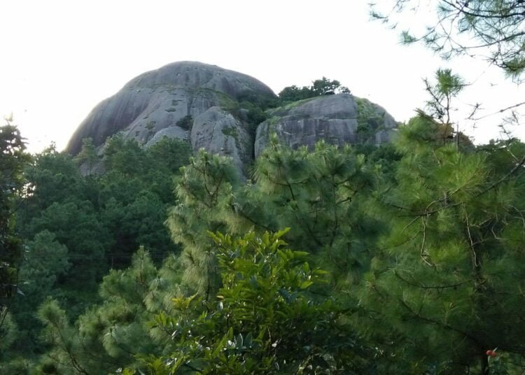 Nongsiej appointed as DC of Eastern West Khasi Hills