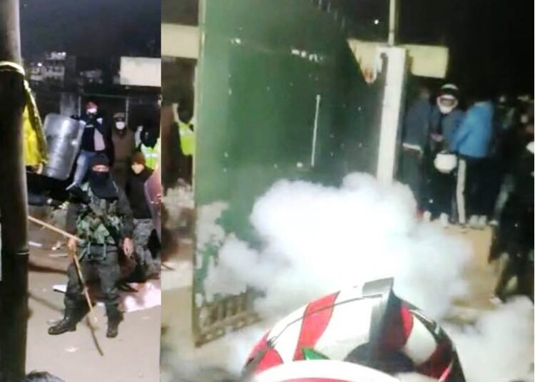 Cherry Blossom Festival explodes in riot