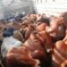 2 trucks with illegal cattle detained, FIR filed