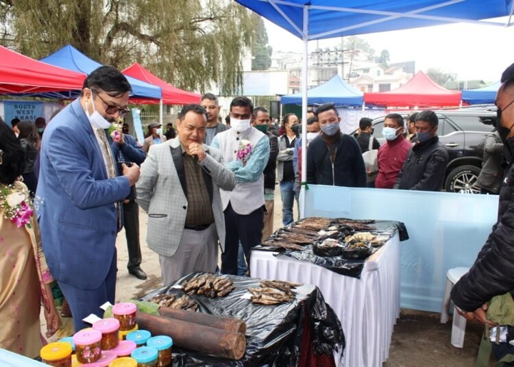 State has 79 fish sanctuaries as sustainable fishing boost