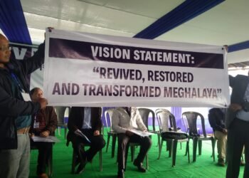 VPP launched with grand aims