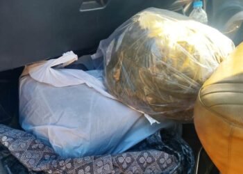 Tourist taxi driver nabbed for smuggling marijuana