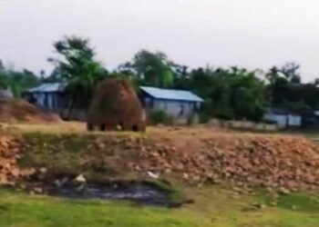 DFO promises action against flourishing illegal brick kilns