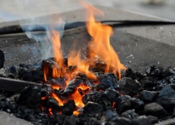 Combustion of coal has led to increase in premature mortality rate in India: Report