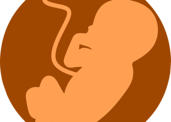 Male fetus found dumped in drain