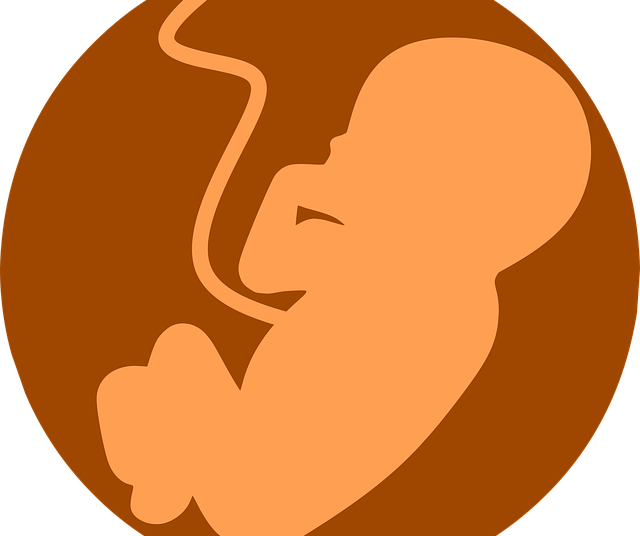 Male fetus found dumped in drain