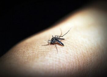Malaria morbidity, mortality rates decline with innovative ‘Tura Model’
