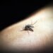 Malaria morbidity, mortality rates decline with innovative ‘Tura Model’