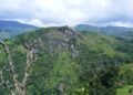 Activist seeks appointment of range forest officer in Baghmara