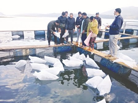 Fish-boosting workshop on ‘cage culture in Umiam reservoir’ held
