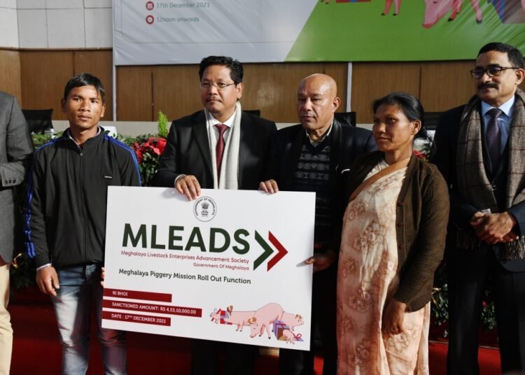 Financial support provided for piggery, milk missions