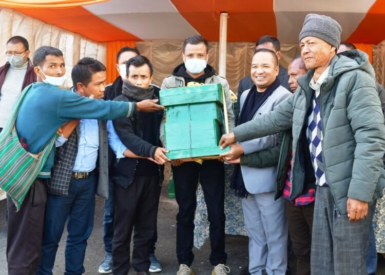 Beehives distributed to master beekeepers