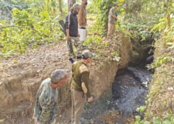 Illegal coal mines unearthed again in Rongrenggre forest reserve