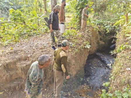 Illegal coal mines unearthed again in Rongrenggre forest reserve