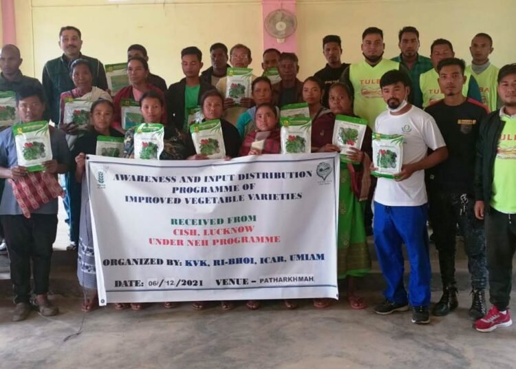 Seed distribution programme held in Patharkhmah