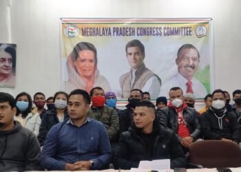 ‘Youth in Congress still alive and working hard’