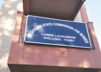 ‘Women’s commission a lame duck with no legal experts’