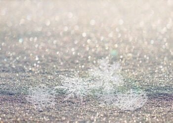 Winter tales from Dec 16