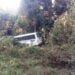 Bus veers off road near Rongjeng