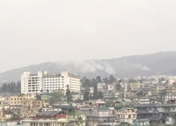 Over 3.98 lakh forest fires detected in fire season from 2020-21: Study