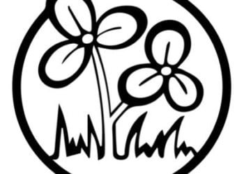 AITC MDCs complain loss of revenue through overloaded coal trucks